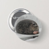 Siegel für das Button (Vorne & Hinten)