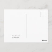 Siegel im Bad Postkarte (Rückseite)