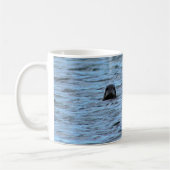 Siegel in Orkney (Schottland) Kaffeetasse (Links)