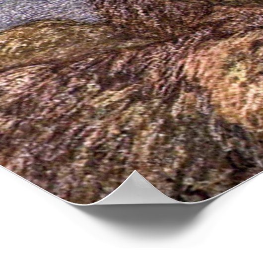 Siegel in Vintagen Häfen, Meerestiere Poster (Ecke)