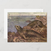 Siegel in Vintagen Häfen, Meerestiere Postkarte (Vorne/Hinten)
