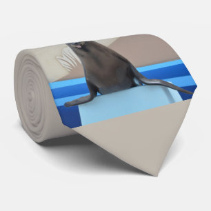 Siegel (Kalifornien-Seelöwe) Krawatte