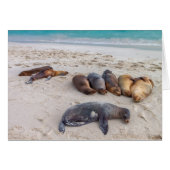 Siegel-Karte (Vorderseite (Horizontal))