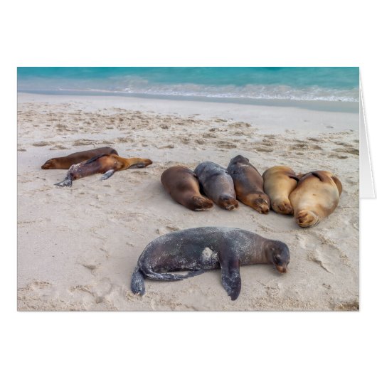 Siegel-Karte (Vorderseite (Horizontal))