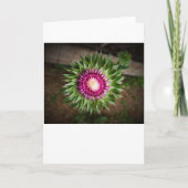 Siegel, Karte (Vorderseite)