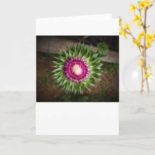 Siegel, Karte (Gelbe Blume)