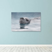 Siegel Leopard, der schwimmt Leinwanddruck (Insitu (Holzboden))