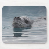 Siegel Leopard, der schwimmt Mousepad (Vorne)