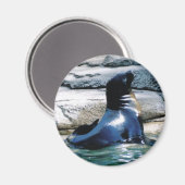 Siegel Magnet (Vorderseite/Rückseite)