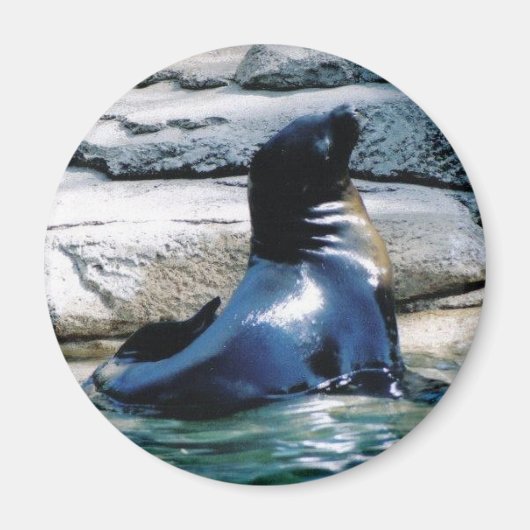 Siegel Magnet (Vorne)