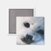 Siegel Magnet (Vorderseite/Rückseite)