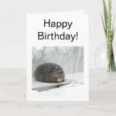 Siegel-Meme für geklappte Karten (Vorderseite)