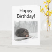 Siegel-Meme für geklappte Karten (Gelbe Blume)