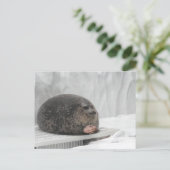 Siegel-Meme nach Postkarte (Stehend Vorderseite)