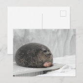 Siegel-Meme nach Postkarte (Vorne/Hinten)