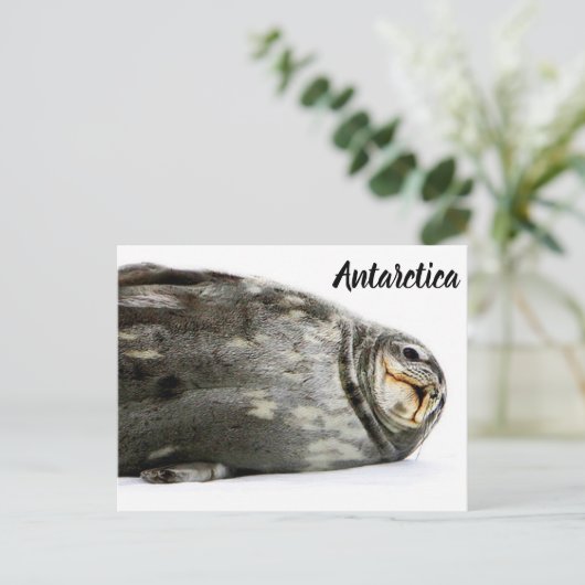 "Siegel mit Kuss" Postkarte (Stehend Vorderseite)