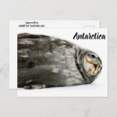 "Siegel mit Kuss" Postkarte (Vorne/Hinten)