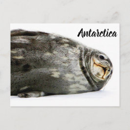 "Siegel mit Kuss" Postkarte