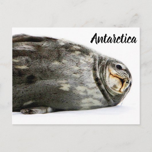 "Siegel mit Kuss" Postkarte (Vorderseite)