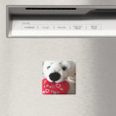 Siegel mit Liebe Magnet (In Situ (Geschirrspüler))