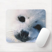 Siegel Mousepad (Mit Mouse)