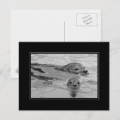 Siegel Mutter und ihr Siegel Postkarte (Vorne/Hinten)