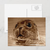 SIEGEL-Northsea Postkarte (Vorne/Hinten)