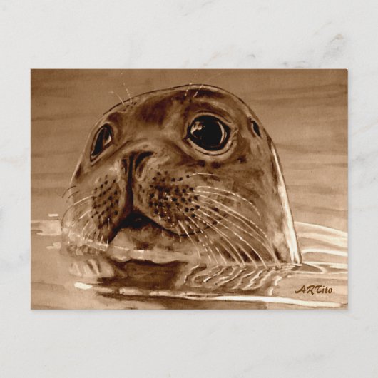 SIEGEL-Northsea Postkarte (Vorderseite)