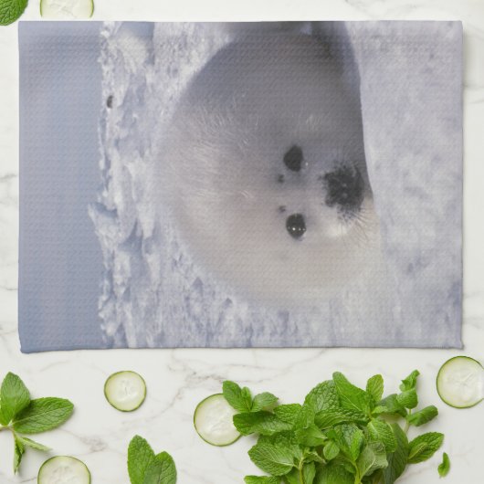 Siegel (Phoca groenlandica) Siegel-Jungtiere Küchentuch (Gefaltet)