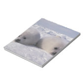 Siegel (Phoca groenlandica) Siegel-Jungtiere Notizblock (Rotiert)