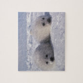 Siegel (Phoca groenlandica) Siegel-Jungtiere Puzzle (Vertikal)