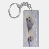 Siegel (Phoca groenlandica) Siegel-Jungtiere Schlüsselanhänger (Vorderseite links)