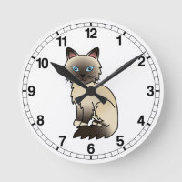 Siegel Point Birman / Ragdoll Cat