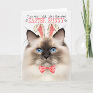 Siegel Point Ragdoll Niedlicher Ostern Bunny Kitro Feiertagskarte