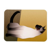 Siegel Point Siamese Cat Magnet (Horizontal)