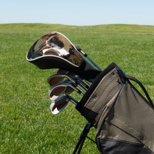 Siegel Point Siamese Cat on Comfy Pillow Golf Headcover (In SItu)