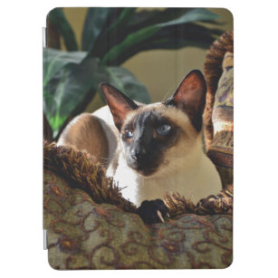 Siegel Point Siamese Cat on Comfy Pillow iPad Air Hülle