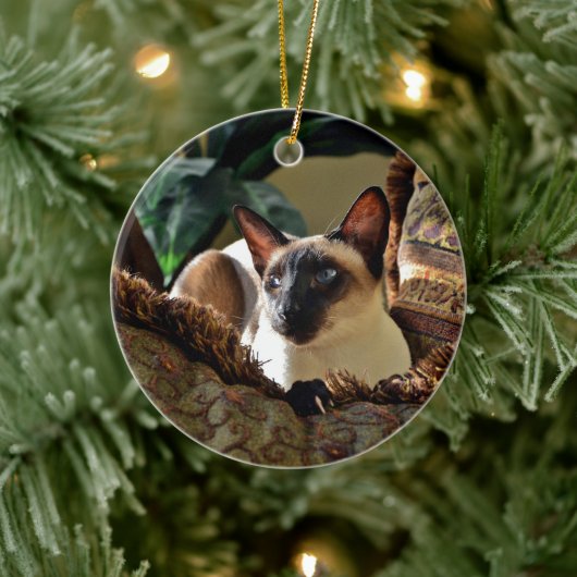 Siegel Point Siamese Cat on Comfy Pillow Keramik Ornament (Baum)