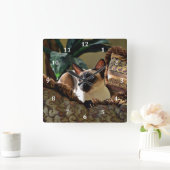 Siegel Point Siamese Cat on Comfy Pillow Quadratische Wanduhr (Zuhause)