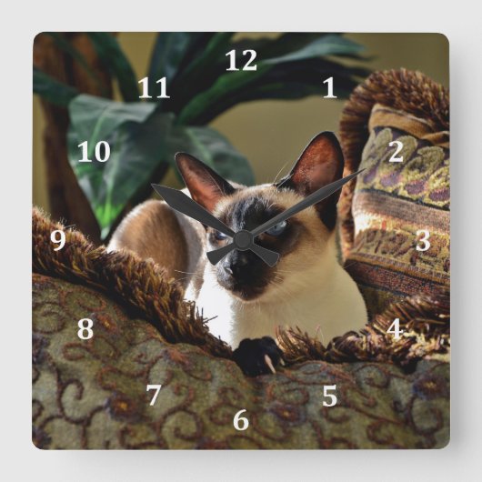 Siegel Point Siamese Cat on Comfy Pillow Quadratische Wanduhr (Vorderseite)