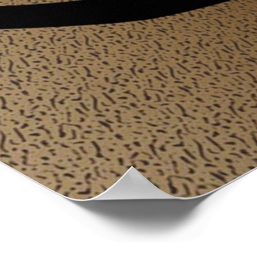 Siegel Point Siamese Cat Poster (Ecke)