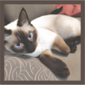 Siegel Point Siamese Digitales Portrait Aufkleber (Vorderseite)