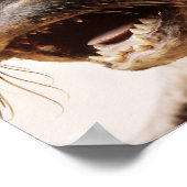 Siegel Poster (Ecke)