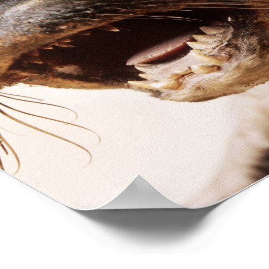 Siegel Poster (Ecke)