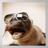 Siegel Poster (Vorne)