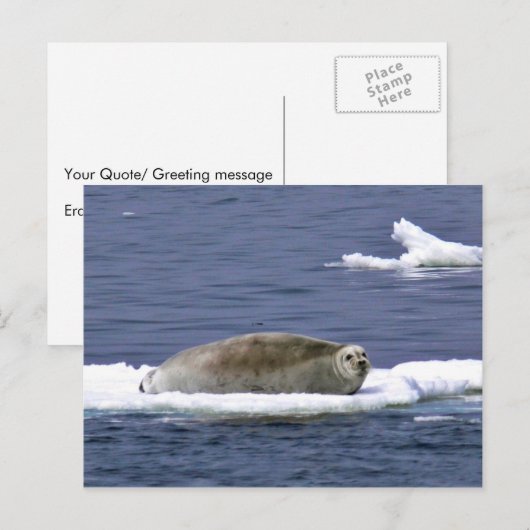 Siegel Postkarte (Vorne/Hinten)