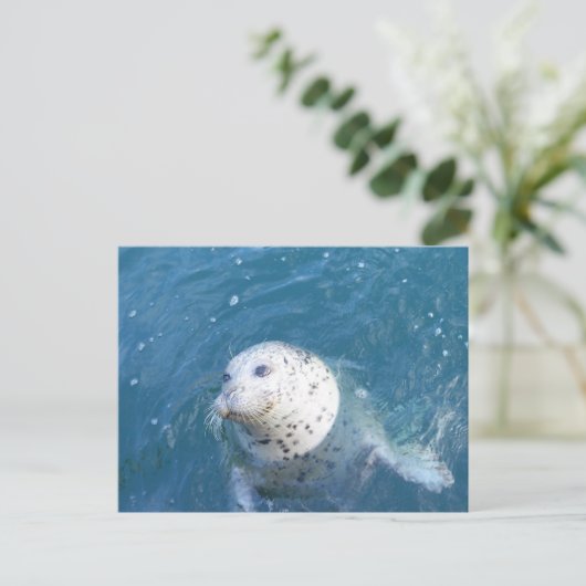 Siegel Postkarte (Stehend Vorderseite)