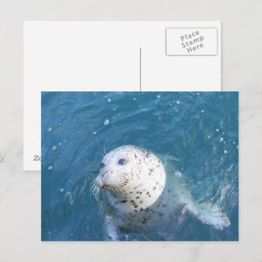 Siegel Postkarte (Vorne/Hinten)