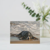 Siegel Postkarte (Stehend Vorderseite)