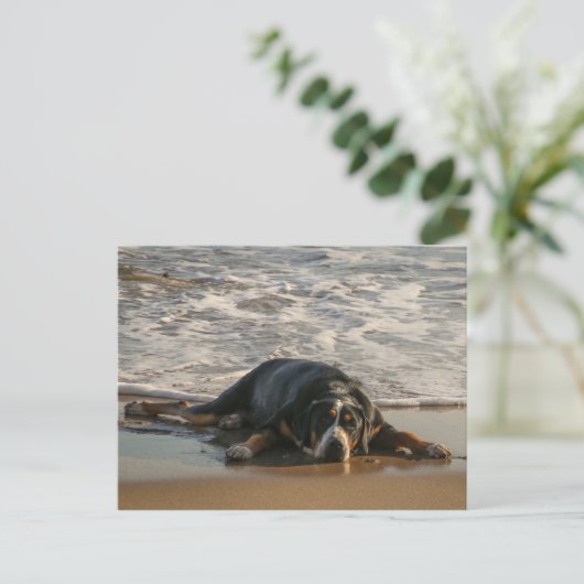 Siegel Postkarte (Stehend Vorderseite)